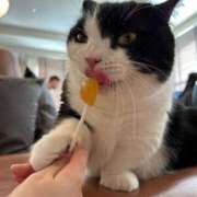 ヒメ日記 2025/02/27 10:04 投稿 はな奥様 なすがママされるがママ西川口