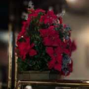 ヒメ日記 2025/12/08 09:25 投稿 はな奥様 なすがママされるがママ西川口