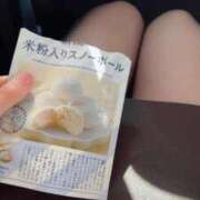 ヒメ日記 2025/01/09 13:04 投稿 はな奥様 なすがママされるがママ春日部