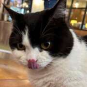 ヒメ日記 2025/03/25 14:43 投稿 はな奥様 なすがママされるがママ春日部