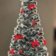 ヒメ日記 2025/11/26 09:35 投稿 はな奥様 なすがママされるがママ川越