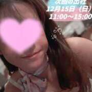 ヒメ日記 2024/12/12 21:59 投稿 スイ秘書 秘書の品格 クラブアッシュ ヴァリエ