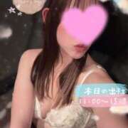 ヒメ日記 2024/12/31 12:27 投稿 スイ秘書 秘書の品格 クラブアッシュ ヴァリエ