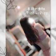 ヒメ日記 2025/04/28 12:49 投稿 スイ秘書 秘書の品格 クラブアッシュ ヴァリエ