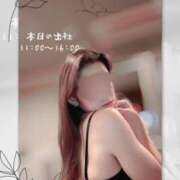 ヒメ日記 2025/05/31 10:18 投稿 スイ秘書 秘書の品格 クラブアッシュ ヴァリエ