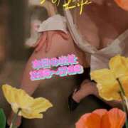 ヒメ日記 2025/08/25 14:49 投稿 スイ秘書 秘書の品格 クラブアッシュ ヴァリエ