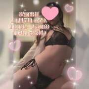 ヒメ日記 2025/11/03 23:20 投稿 スイ秘書 秘書の品格 クラブアッシュ ヴァリエ