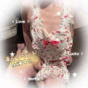 ヒメ日記 2025/11/24 11:35 投稿 スイ秘書 秘書の品格 クラブアッシュ ヴァリエ