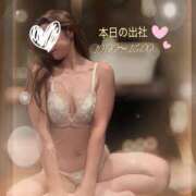 ヒメ日記 2025/11/26 08:11 投稿 スイ秘書 秘書の品格 クラブアッシュ ヴァリエ