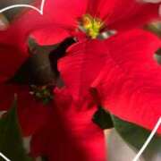 ヒメ日記 2025/12/10 15:09 投稿 スイ秘書 秘書の品格 クラブアッシュ ヴァリエ