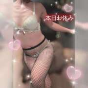 ヒメ日記 2025/12/14 08:01 投稿 スイ秘書 秘書の品格 クラブアッシュ ヴァリエ