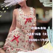 ヒメ日記 2025/12/14 22:00 投稿 スイ秘書 秘書の品格 クラブアッシュ ヴァリエ