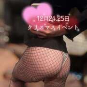 ヒメ日記 2025/12/15 13:00 投稿 スイ秘書 秘書の品格 クラブアッシュ ヴァリエ