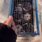 ヒメ日記 2026/01/11 15:28 投稿 スイ秘書 秘書の品格 クラブアッシュ ヴァリエ