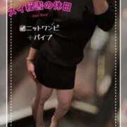 ヒメ日記 2026/01/19 19:46 投稿 スイ秘書 秘書の品格 クラブアッシュ ヴァリエ