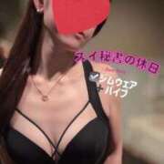 ヒメ日記 2026/02/05 16:58 投稿 スイ秘書 秘書の品格 クラブアッシュ ヴァリエ