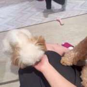 ヒメ日記 2025/06/13 22:58 投稿 りな 俺のKissリフレ