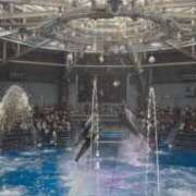 ヒメ日記 2025/08/28 18:48 投稿 りな 俺のKissリフレ