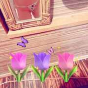 ヒメ日記 2025/01/27 12:46 投稿 えま プールサイド