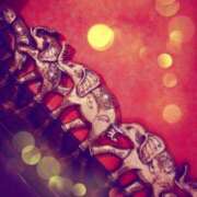 ヒメ日記 2025/02/22 16:48 投稿 えま プールサイド