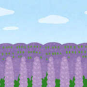 ヒメ日記 2025/07/01 14:04 投稿 えま プールサイド