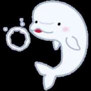 ヒメ日記 2025/11/21 22:36 投稿 えま プールサイド