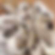 ヒメ日記 2026/03/23 00:47 投稿 えま プールサイド