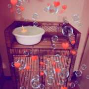 ヒメ日記 2026/04/24 13:10 投稿 えま プールサイド