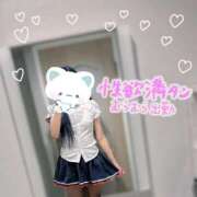 ヒメ日記 2025/11/21 09:00 投稿 しずく 全裸SUPERプレミアム