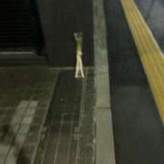 ヒメ日記 2024/12/28 13:23 投稿 ゆい ANGEL KISS 池袋