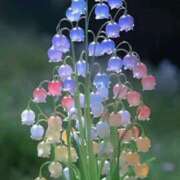 ヒメ日記 2025/02/07 17:28 投稿 ゆい ANGEL KISS 池袋