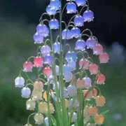 ヒメ日記 2025/02/12 15:29 投稿 ゆい ANGEL KISS 池袋