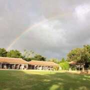 ヒメ日記 2025/03/16 16:09 投稿 ゆい ANGEL KISS 池袋