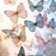 ヒメ日記 2025/04/11 17:22 投稿 ゆい ANGEL KISS 池袋