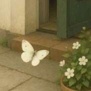 ヒメ日記 2025/06/22 11:00 投稿 ゆい ANGEL KISS 池袋