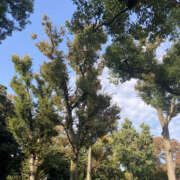 ヒメ日記 2025/11/16 16:49 投稿 ゆい ANGEL KISS 池袋