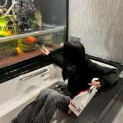 ヒメ日記 2025/11/20 16:54 投稿 まなみ Welcome Cafe(ウェルカムカフェ) 八王子本店