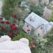 ヒメ日記 2026/01/05 16:28 投稿 さき 上野ハンドメイド