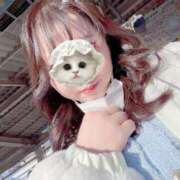 ヒメ日記 2025/02/01 06:00 投稿 白乃（しらの） 丸妻 錦糸町店