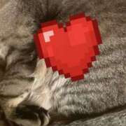 ヒメ日記 2025/04/28 11:34 投稿 白乃（しらの） 丸妻 錦糸町店