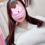 ヒメ日記 2025/04/29 13:04 投稿 白乃（しらの） 丸妻 錦糸町店