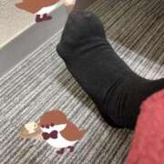 ヒメ日記 2025/12/26 17:08 投稿 白乃（しらの） 丸妻 錦糸町店