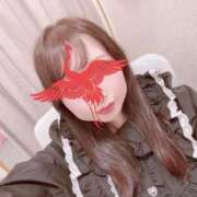 ヒメ日記 2026/03/14 12:13 投稿 白乃（しらの） 丸妻 錦糸町店