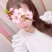 ヒメ日記 2026/04/14 15:00 投稿 白乃（しらの） 丸妻 錦糸町店