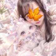 白乃（しらの） ❣️10月のよてい❣️꒰ ¨̮ ꒱♡🐳🌊 丸妻 錦糸町店