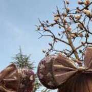 るりか 今週は火曜日❣️ 三つ乱本館