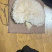 ヒメ日記 2026/01/01 01:47 投稿 るりか 三つ乱本館