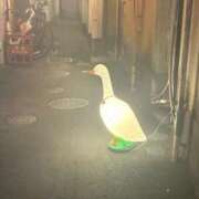 ヒメ日記 2026/04/24 20:57 投稿 るりか 三つ乱本館