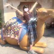 ヒメ日記 2025/09/03 14:57 投稿 NH青空　ひまり 栃木♂風俗の神様宇都宮店