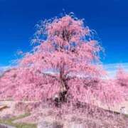 ヒメ日記 2025/03/24 08:46 投稿 ゆりえ 熟女の風俗最終章 仙台店